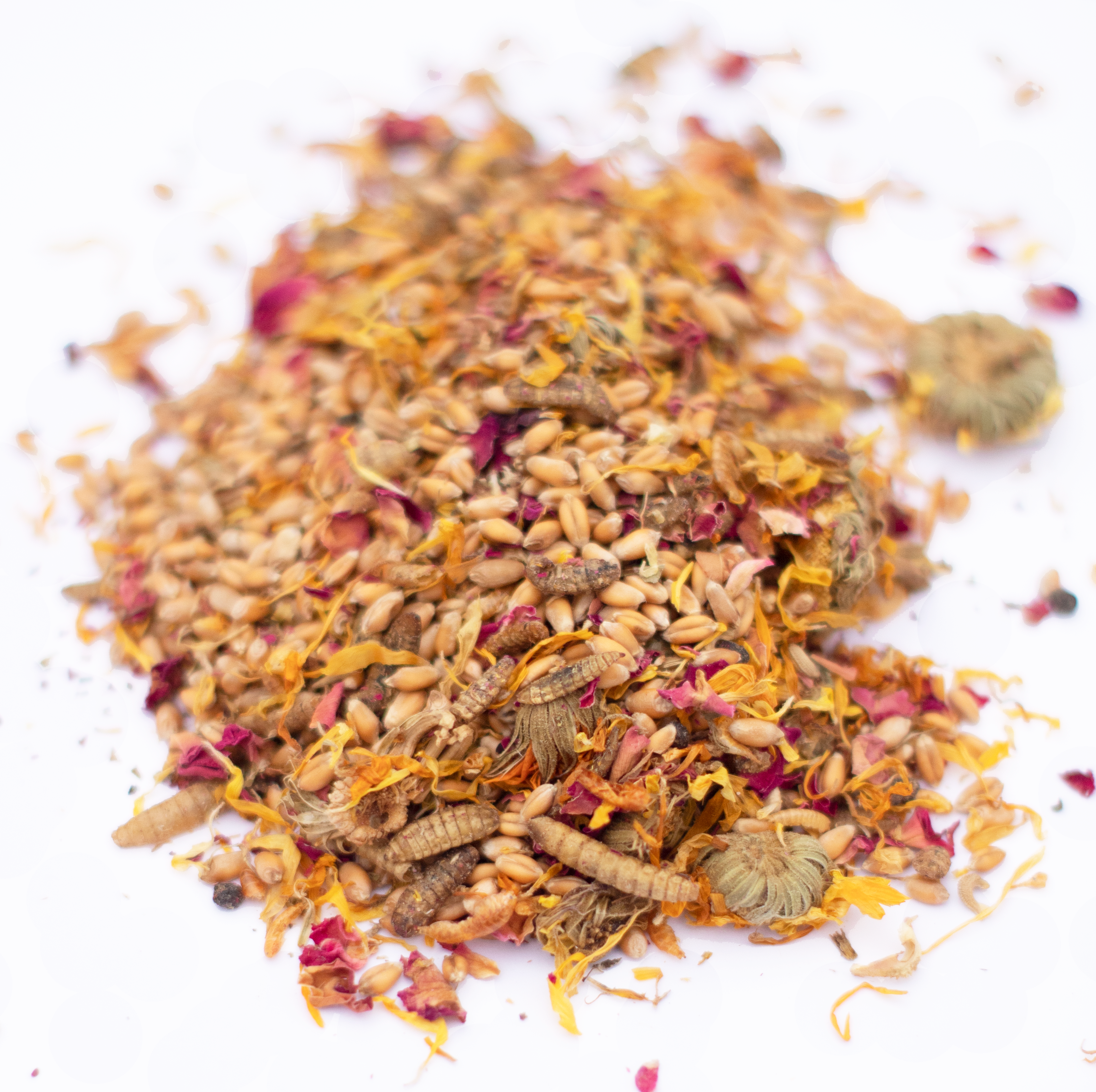 PowerHen (TM) High Protein Treat With Mealworms, Black Soldier Fly Larvae, & Herbs For Backyard Chickens by Dahlia Pets