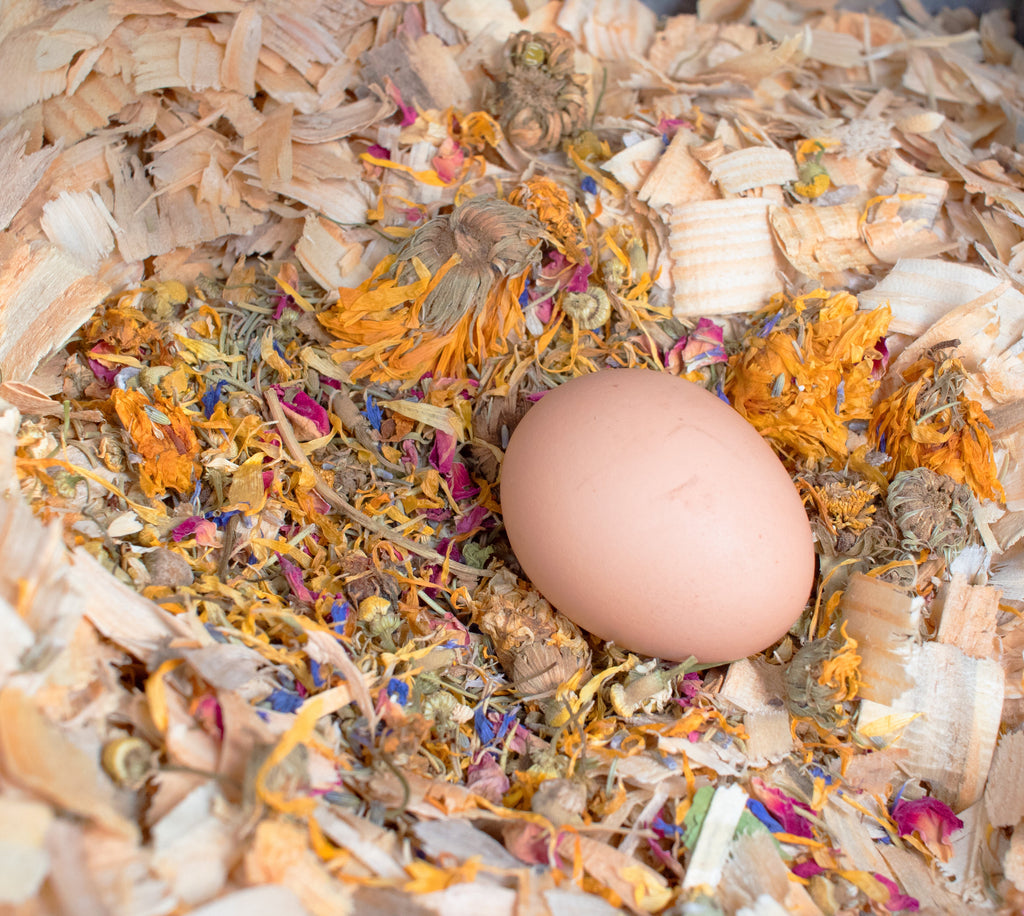 Best Eggs Ever! Nesting Herbs (Chamomile, Roses, Lavender, Cornflowers, & Calendula) For Pet Chickens by Dahlia Pets