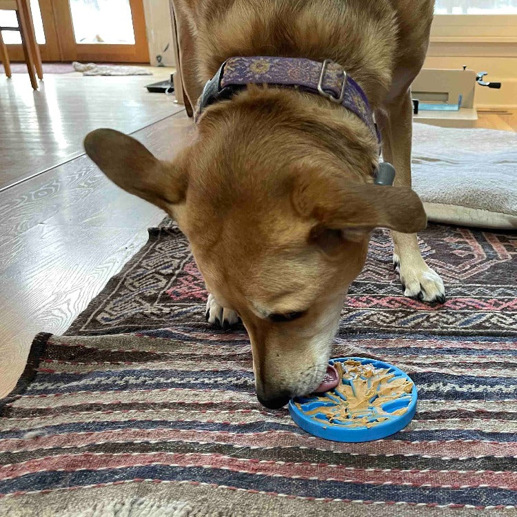 Air Nylon eCoin Lick Mat for Dogs - Durable Enrichment Toy | SodaPup by SodaPup/True Dogs, LLC