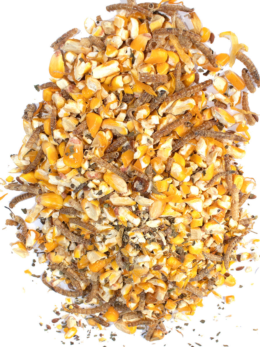 Poultry Queen Mealworm, Premium Corn, Flax Seeds, & Herb Treat For Pet Chickens by Dahlia Pets