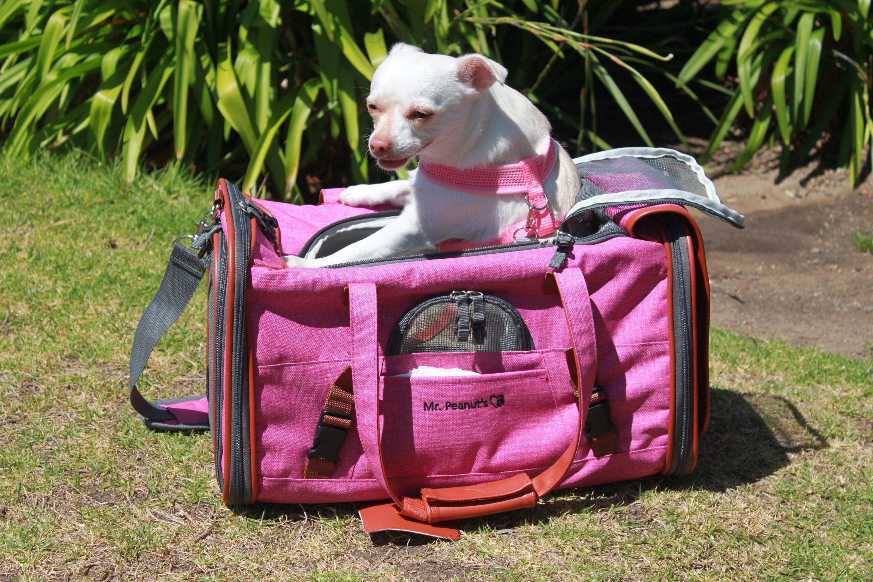 Mr. Peanut's Gold Series Airline Compliant Pet Carrier by Mr. Peanut's Pet Carriers