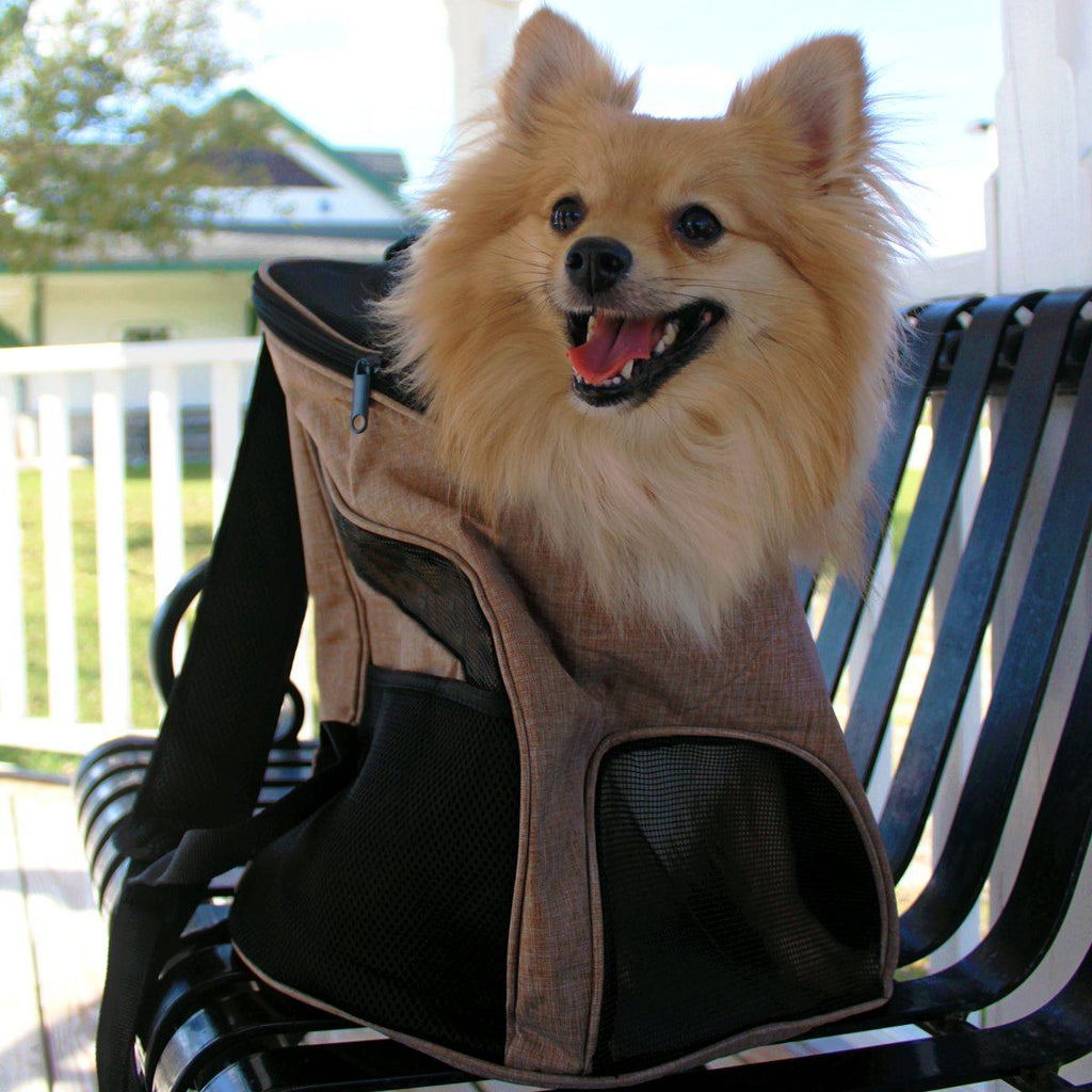 Pet Carrier Backpack by Dogline