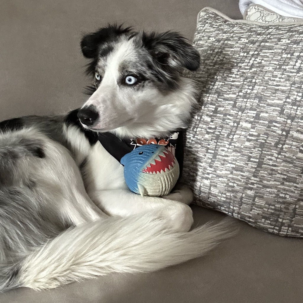 Finn the Shark Ruff-Tex® Latex Ball Dog Toy, Large by HuggleHounds