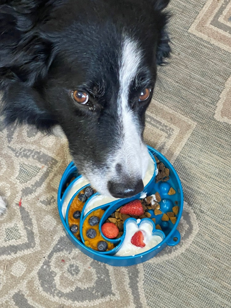 Wave eBowl Deep Slow Feeder Dog Bowl for Enrichment | Made in USA by SodaPup/True Dogs, LLC