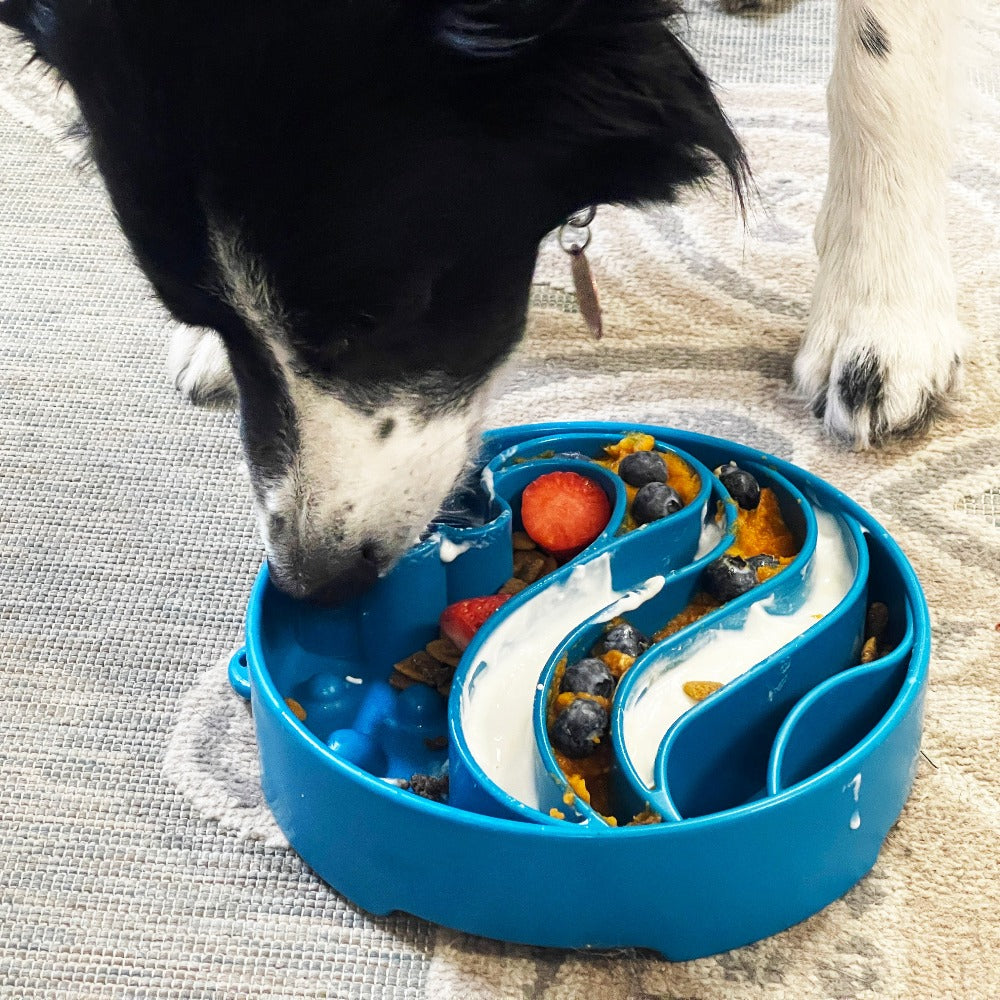 Wave eBowl Deep Slow Feeder Dog Bowl for Enrichment | Made in USA by SodaPup/True Dogs, LLC