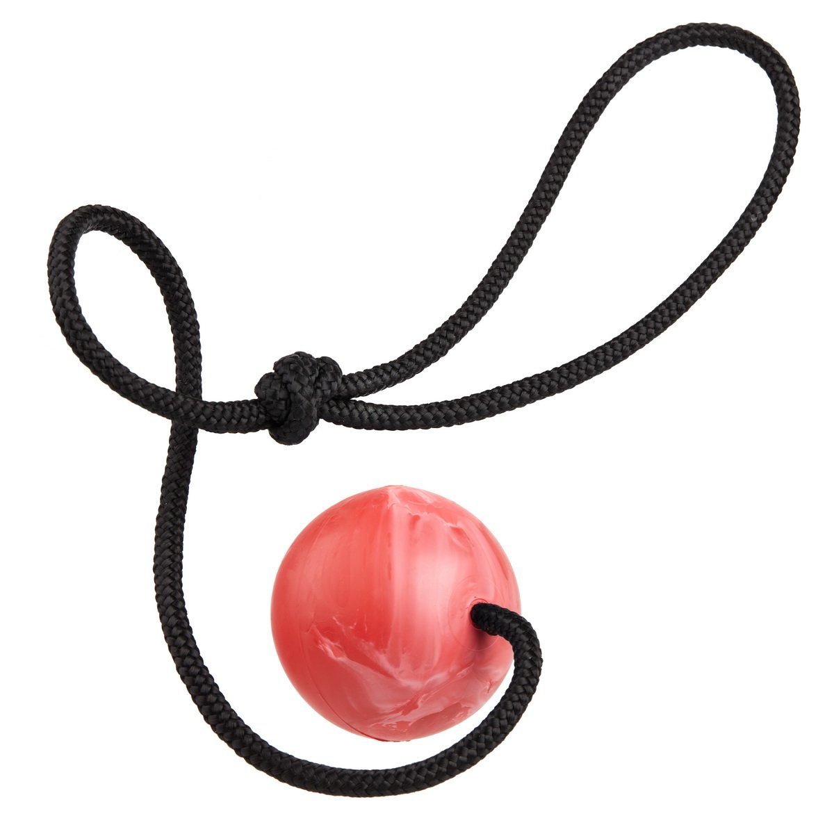Rubber Euro Ball with Rope by Dogline