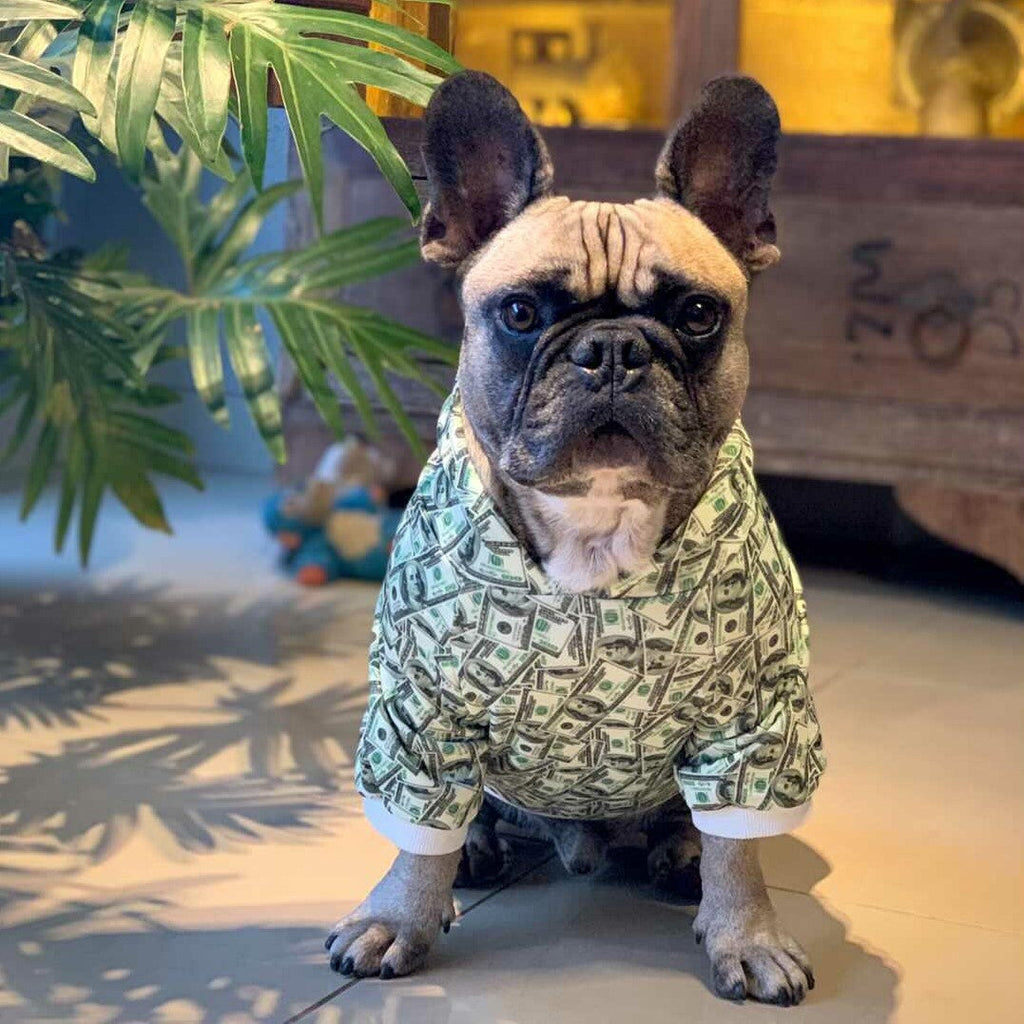 Money Print Dog Hoodie by Furr Baby Gifts