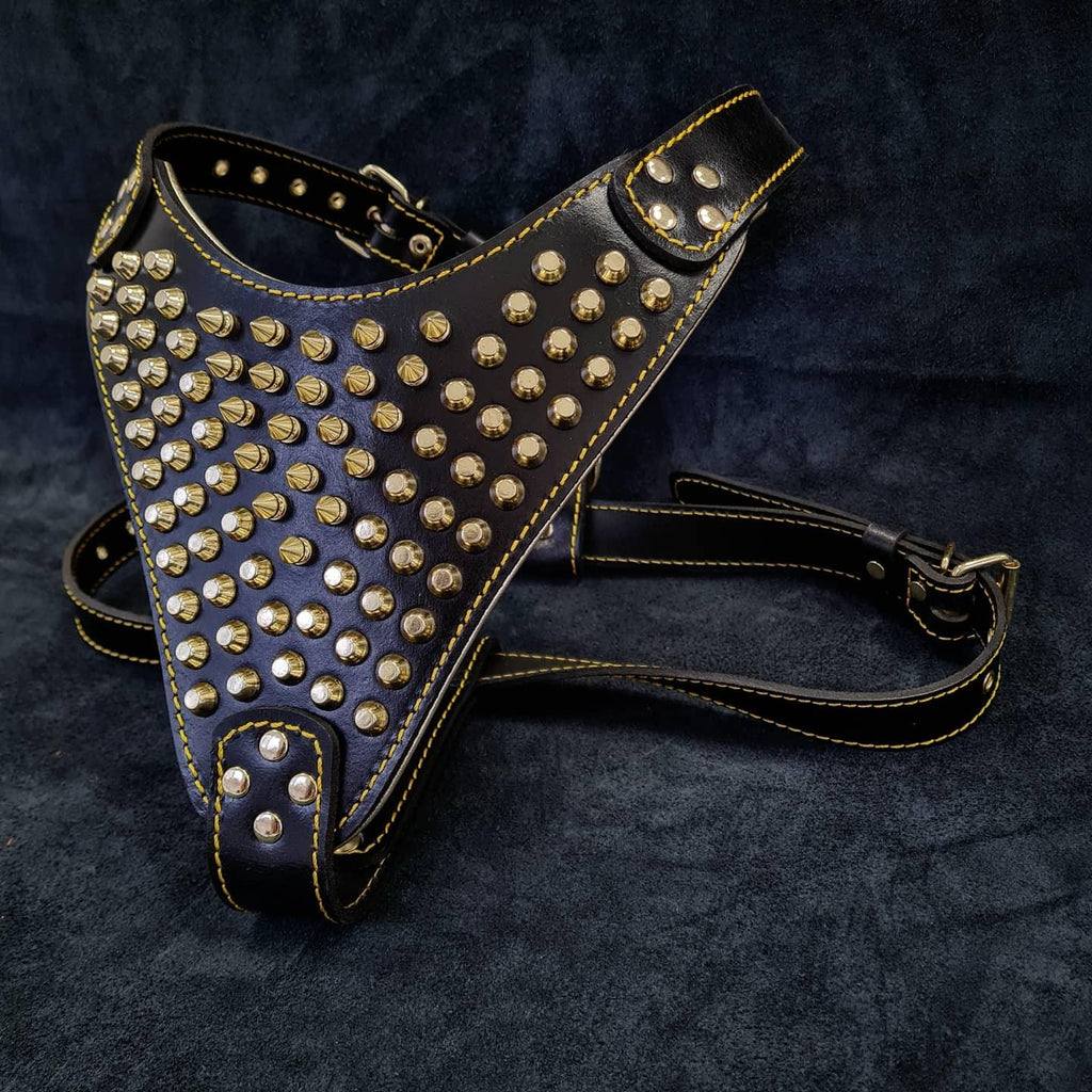 The "Gladiator" harness Gold/Silver by Bestia Dog Gear