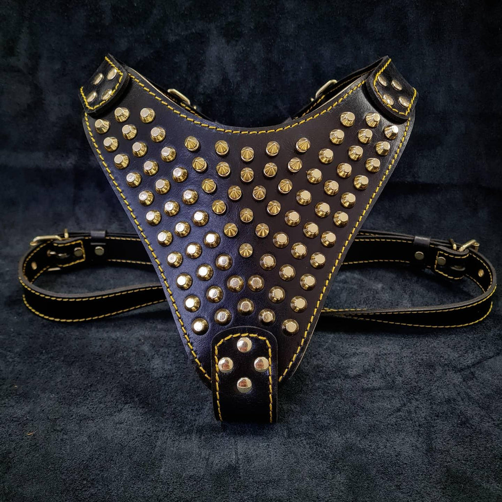 The "Gladiator" harness Gold/Silver by Bestia Dog Gear