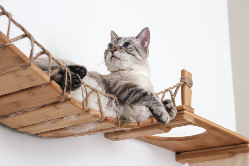 The Temple - Giant Cat Tree on Wall