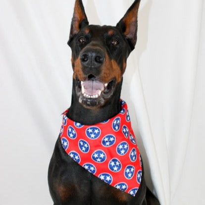 Nashville Tennessee Dog Bandana by Dog Bandana Co.