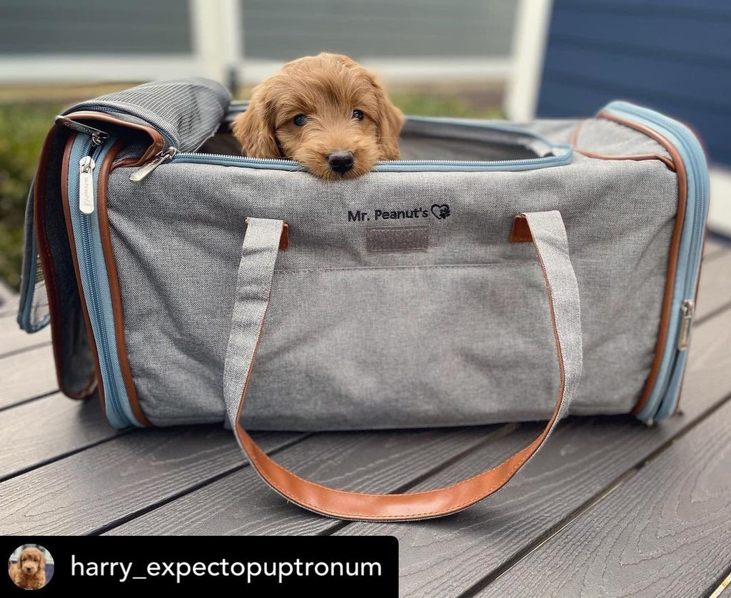 Mr. Peanut's Gold Series Big Apple XL Expandable Pet Carrier V3.0 by Mr. Peanut's Pet Carriers