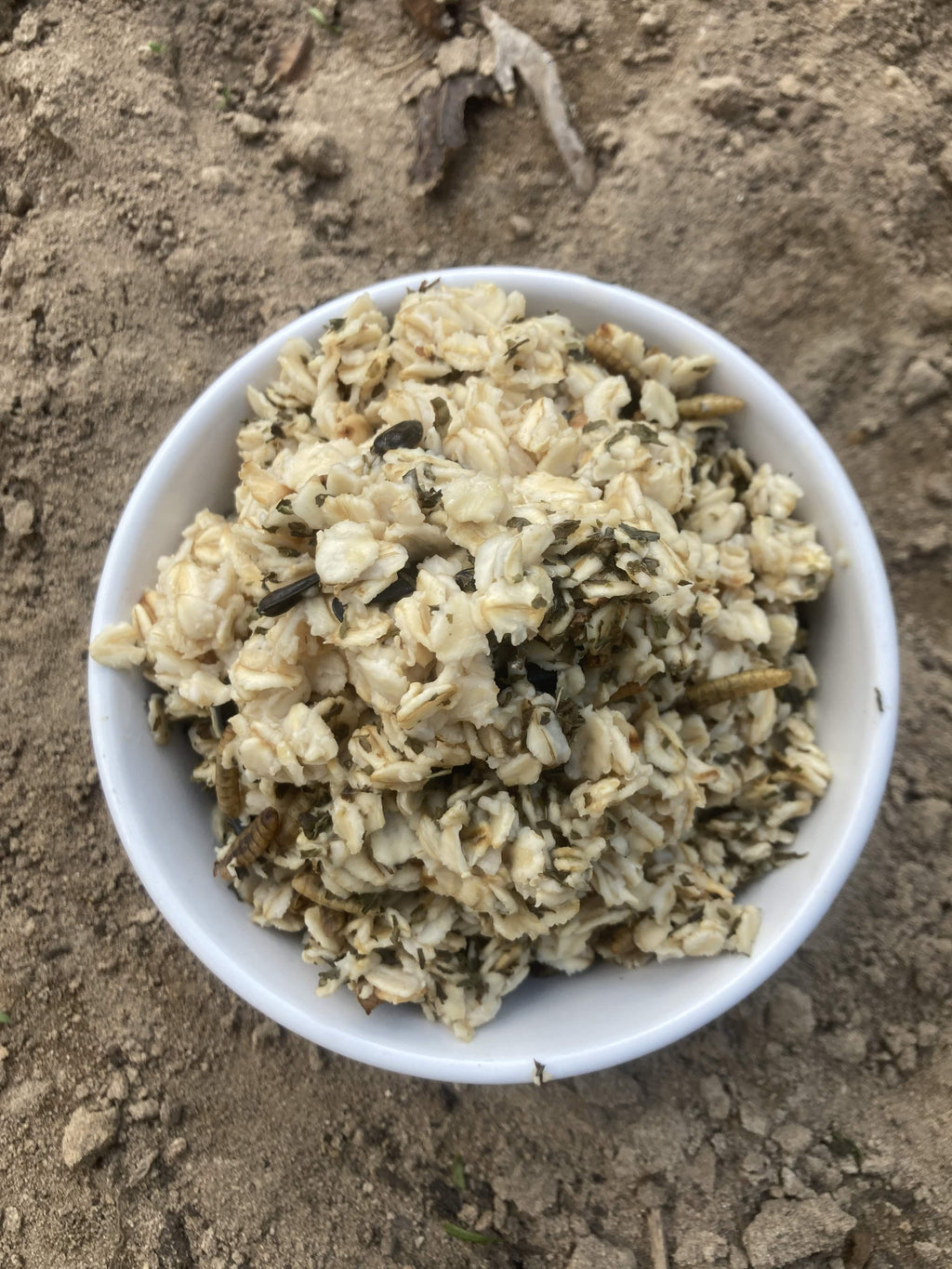 Cold Winter Nights - Warm Oatmeal Treat for Extra Calories by Dahlia Pets