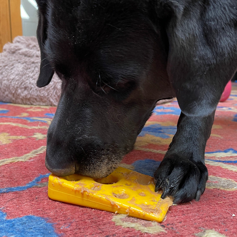 Swiss Cheese Wedge Nylon Dog Chew Toy for Aggressive Chewers | SodaPup by SodaPup/True Dogs, LLC