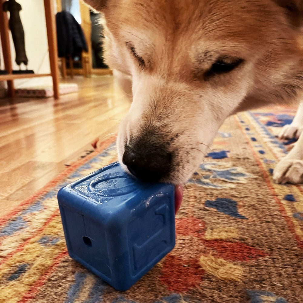 Love Cube eDispenser - Durable Rubber Chew Toy & Treat Dispenser | USA Made by SodaPup/True Dogs, LLC