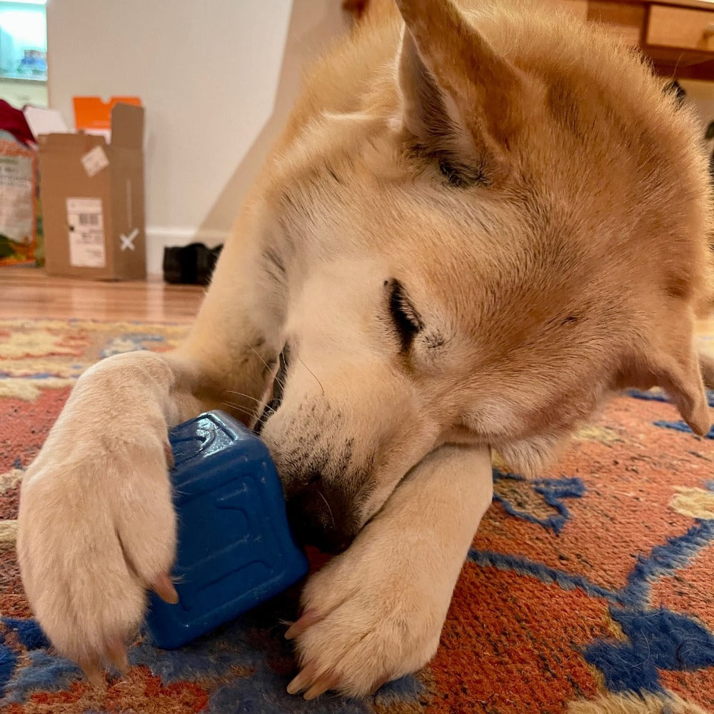 Love Cube eDispenser - Durable Rubber Chew Toy & Treat Dispenser | USA Made by SodaPup/True Dogs, LLC