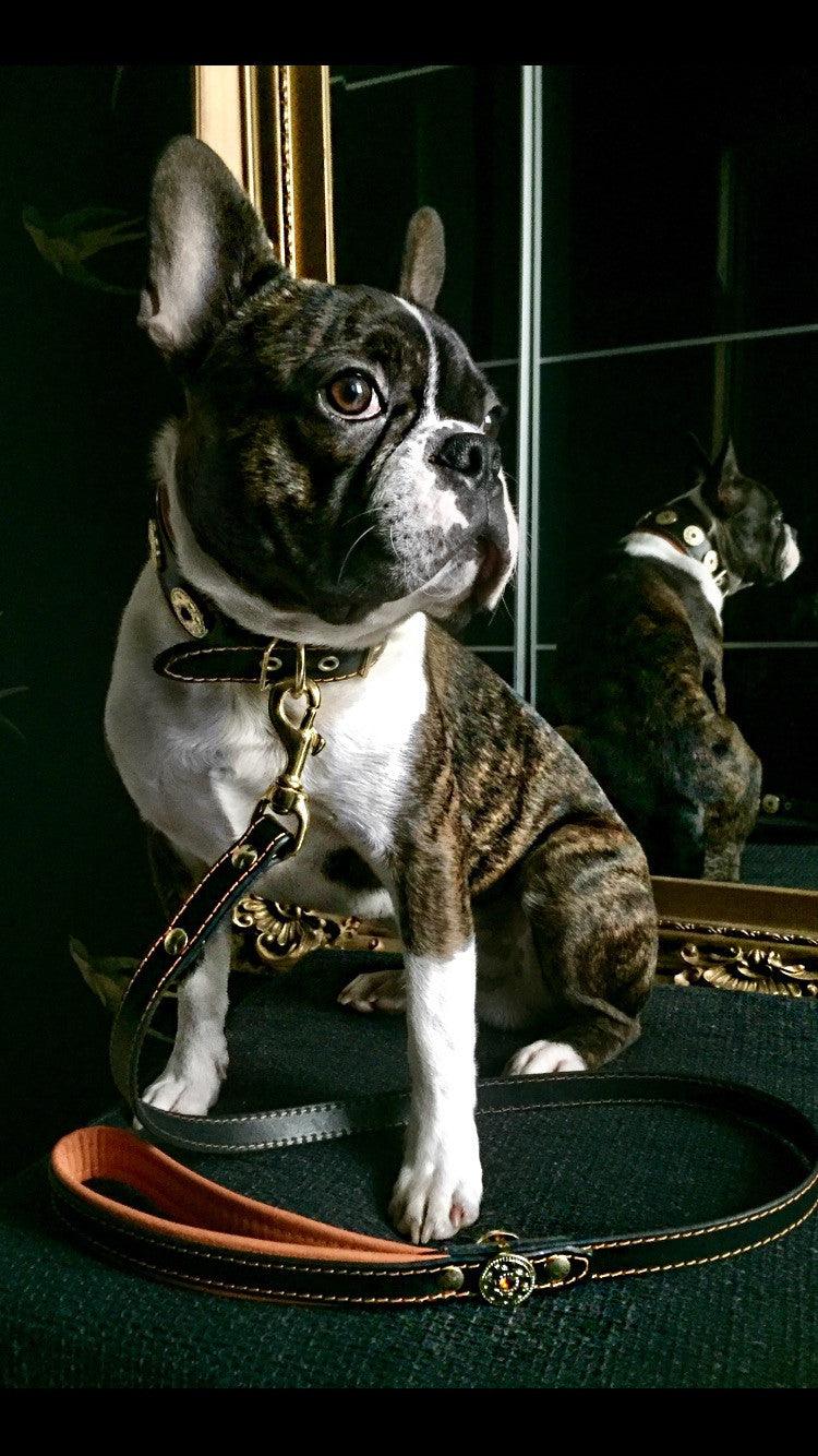 ''Bijou'' leather lead orange by Bestia Dog Gear