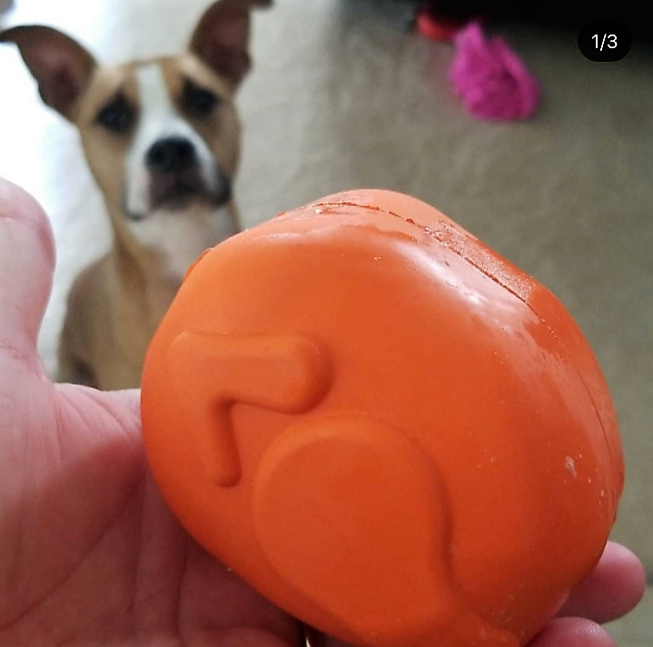 Roasted Turkey Dog Chew Toy & Treat Dispenser - USA Made | SodaPup by SodaPup/True Dogs, LLC