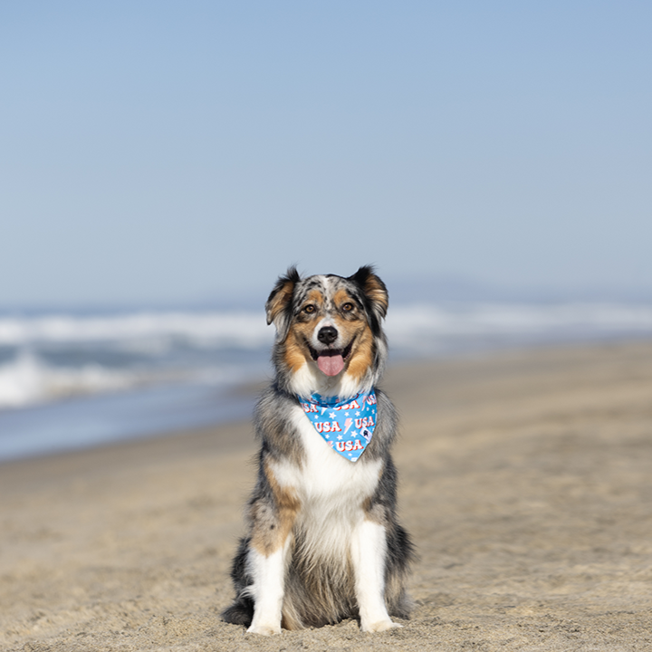 USA Dog Bandana by Dog Bandana Co.