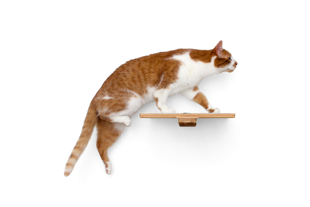 Cat Perch - Wall Mounted and Wooden by Catastrophic Creations