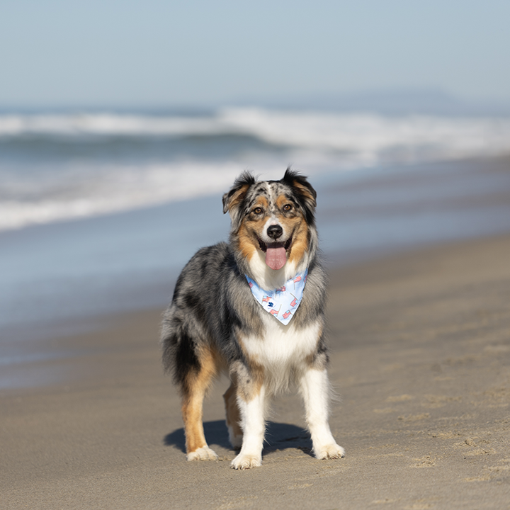 USA Dog Bandana by Dog Bandana Co.