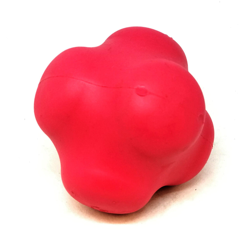 Crazy Bounce Rubber Dog Chew Toy for Power Chewers | Retrieving Ball | USA Made by SodaPup/True Dogs, LLC