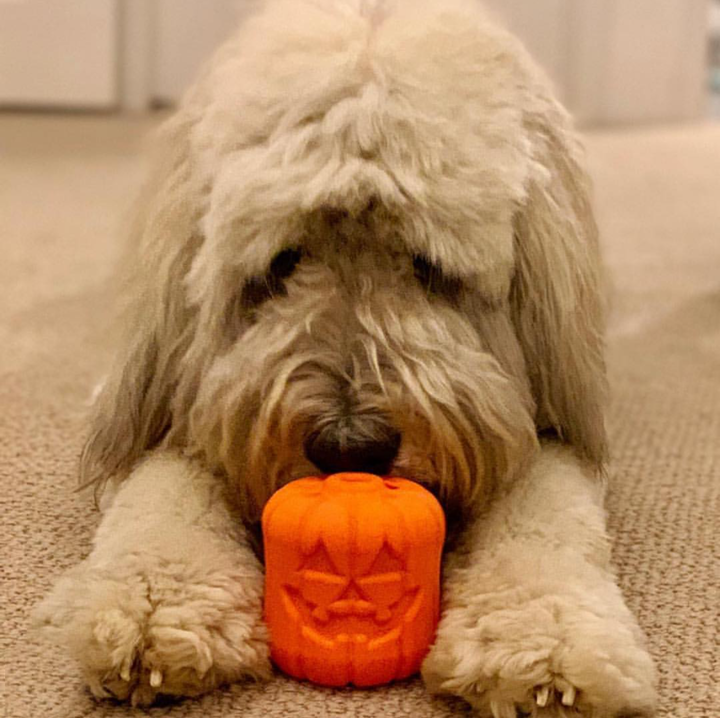 Jack O' Lantern Dog Toy - Durable Halloween Chew Toy for Large Dogs | USA Made by SodaPup/True Dogs, LLC