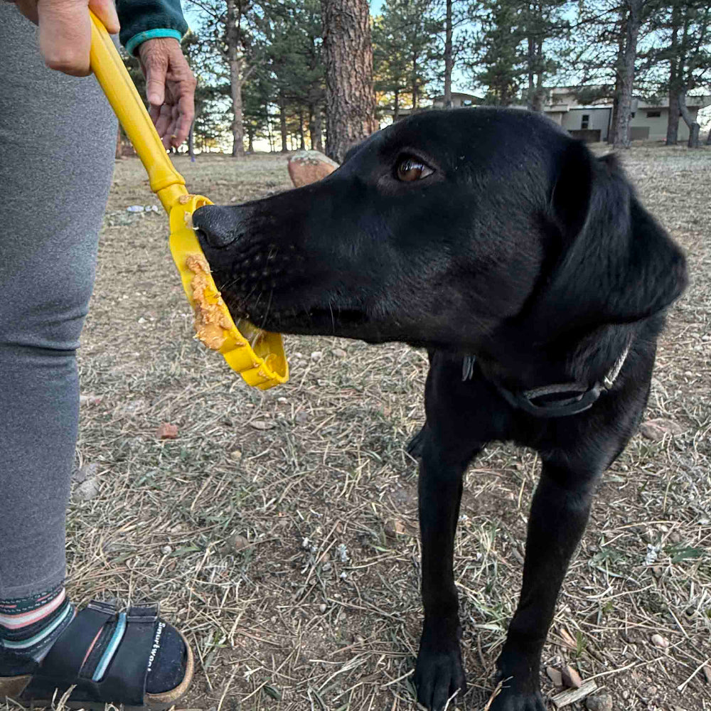 eStick Hand-Held Dog Enrichment Toy - Interactive Lick Stick | USA Made by SodaPup/True Dogs, LLC