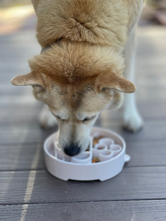Java eBowl Deep Slow Feeder Dog Bowl for Enrichment | USA Made by SodaPup/True Dogs, LLC