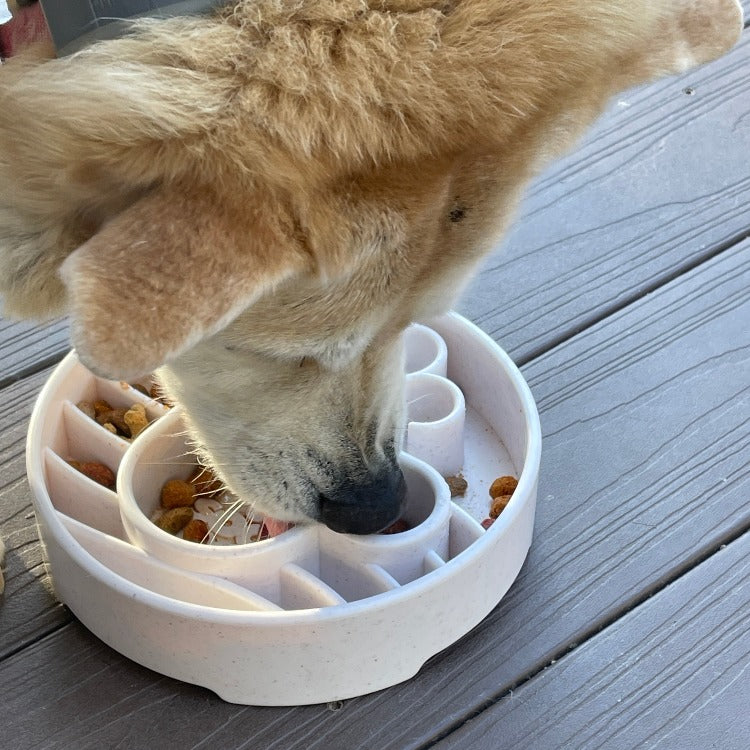 Java eBowl Deep Slow Feeder Dog Bowl for Enrichment | USA Made by SodaPup/True Dogs, LLC