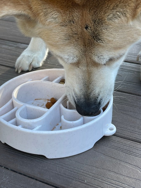 Java eBowl Deep Slow Feeder Dog Bowl for Enrichment | USA Made by SodaPup/True Dogs, LLC