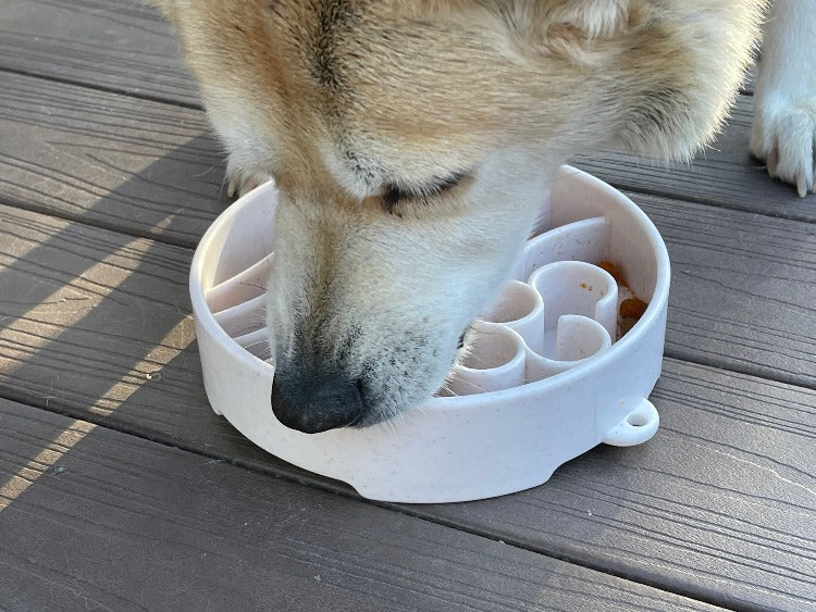 Java eBowl Deep Slow Feeder Dog Bowl for Enrichment | USA Made by SodaPup/True Dogs, LLC