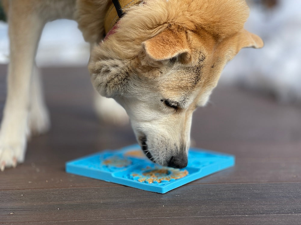Sky eMat - Enrichment Lick Mat for Dogs and Cats | Celestial Design | SodaPup by SodaPup/True Dogs, LLC
