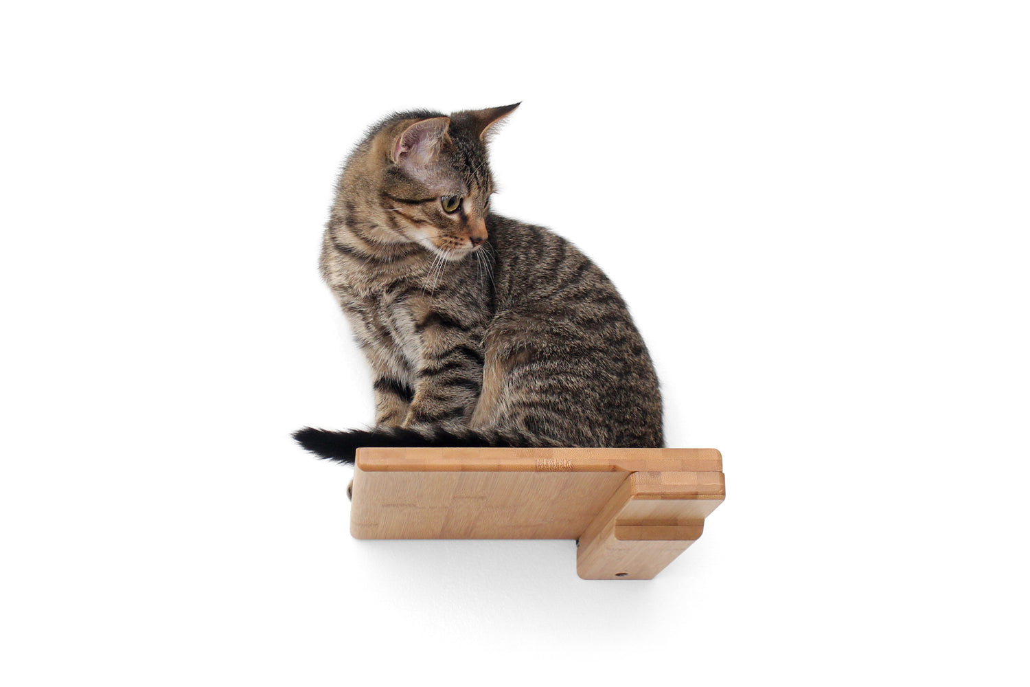 Cat Climbing Shelf by Catastrophic Creations