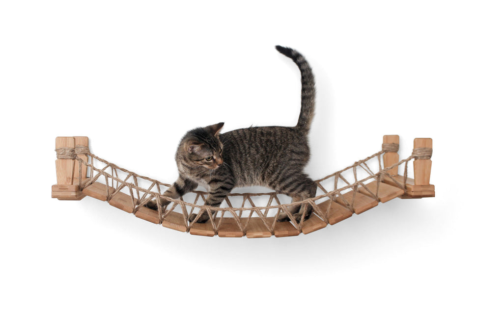 Cat Bridge for Wall by Catastrophic Creations