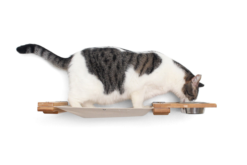 Dog Proof Cat Feeder - Wall-Mounted - Raised by Catastrophic Creations
