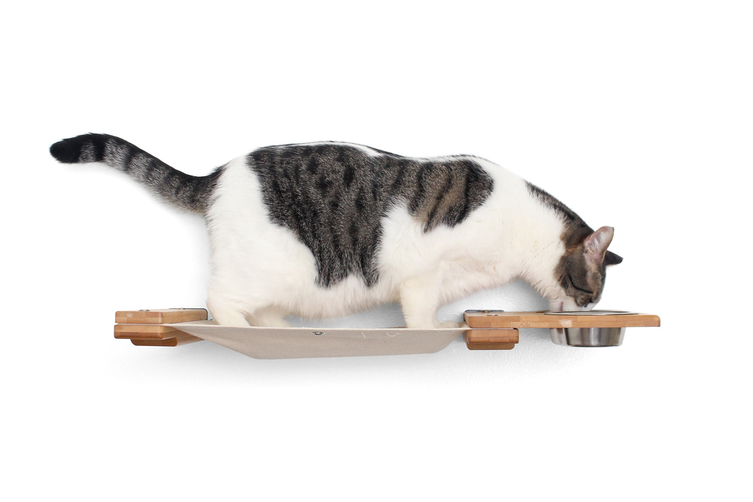 Dog Proof Cat Feeder - Wall-Mounted - Raised by Catastrophic Creations
