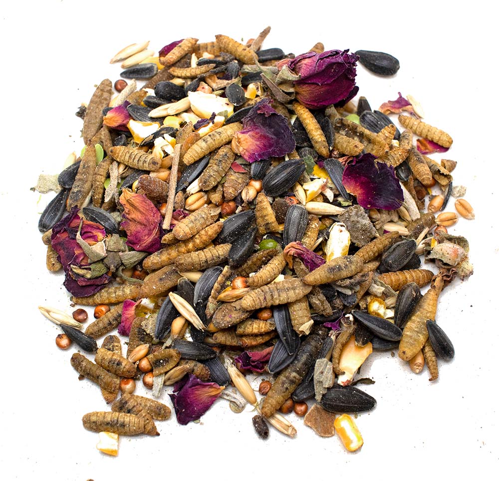 Sunflower Power Textured Treat With Sunflower Seeds, BloomGrubs, Rose, Sage, Corn by Dahlia Pets