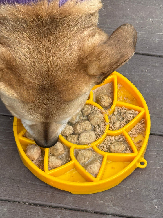 Sunflower eTray Shallow Slow Feeder Dog Bowl for Enrichment | USA Made by SodaPup/True Dogs, LLC