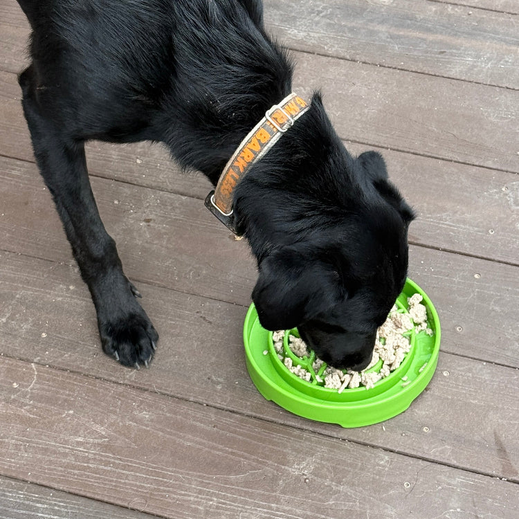 Garden Design eTray - Shallow Slow Feeder Dog Bowl for Enrichment | USA by SodaPup/True Dogs, LLC