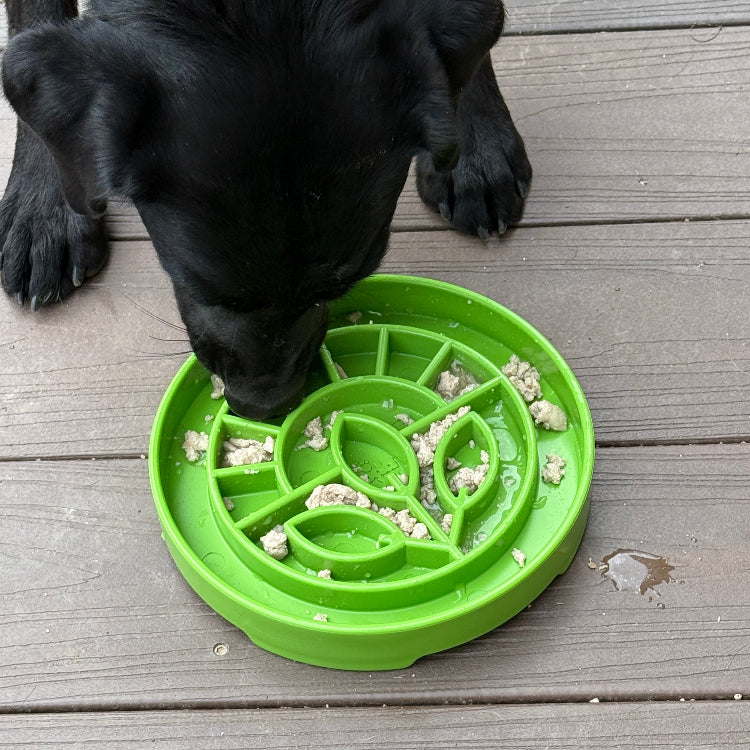 Garden Design eTray - Shallow Slow Feeder Dog Bowl for Enrichment | USA by SodaPup/True Dogs, LLC