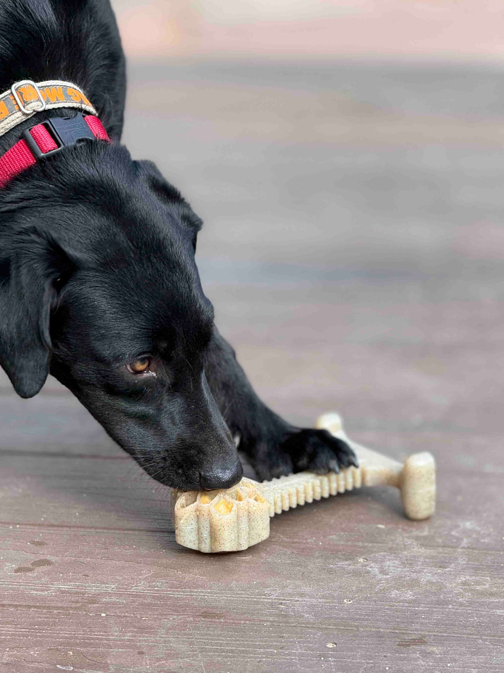 Honey Bone Dental Flower Tower - Indestructible Nylon Dog Chew Toy XL | USA by SodaPup/True Dogs, LLC