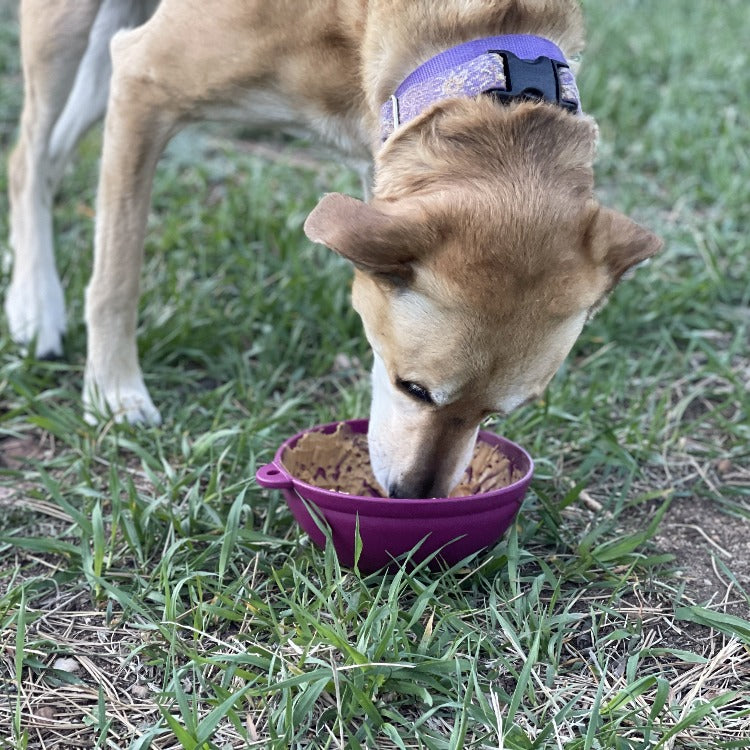 Garden of Eatin' Tipsy Bowl - Wobble Lick Mat for Dogs & Cats | USA Made by SodaPup/True Dogs, LLC