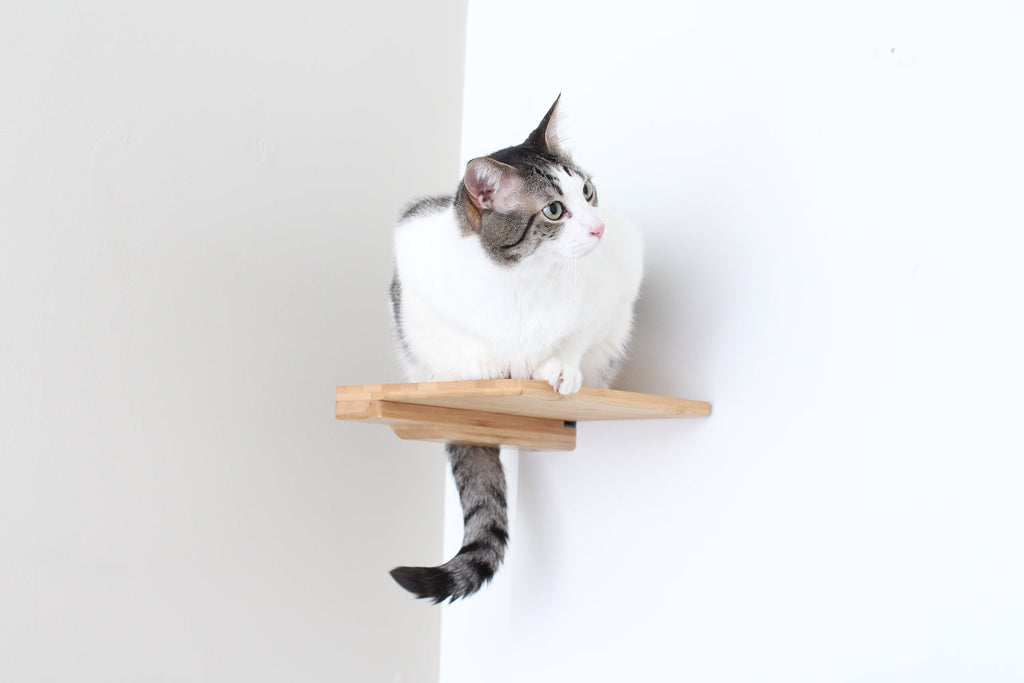 Cat Climbing Shelf by Catastrophic Creations