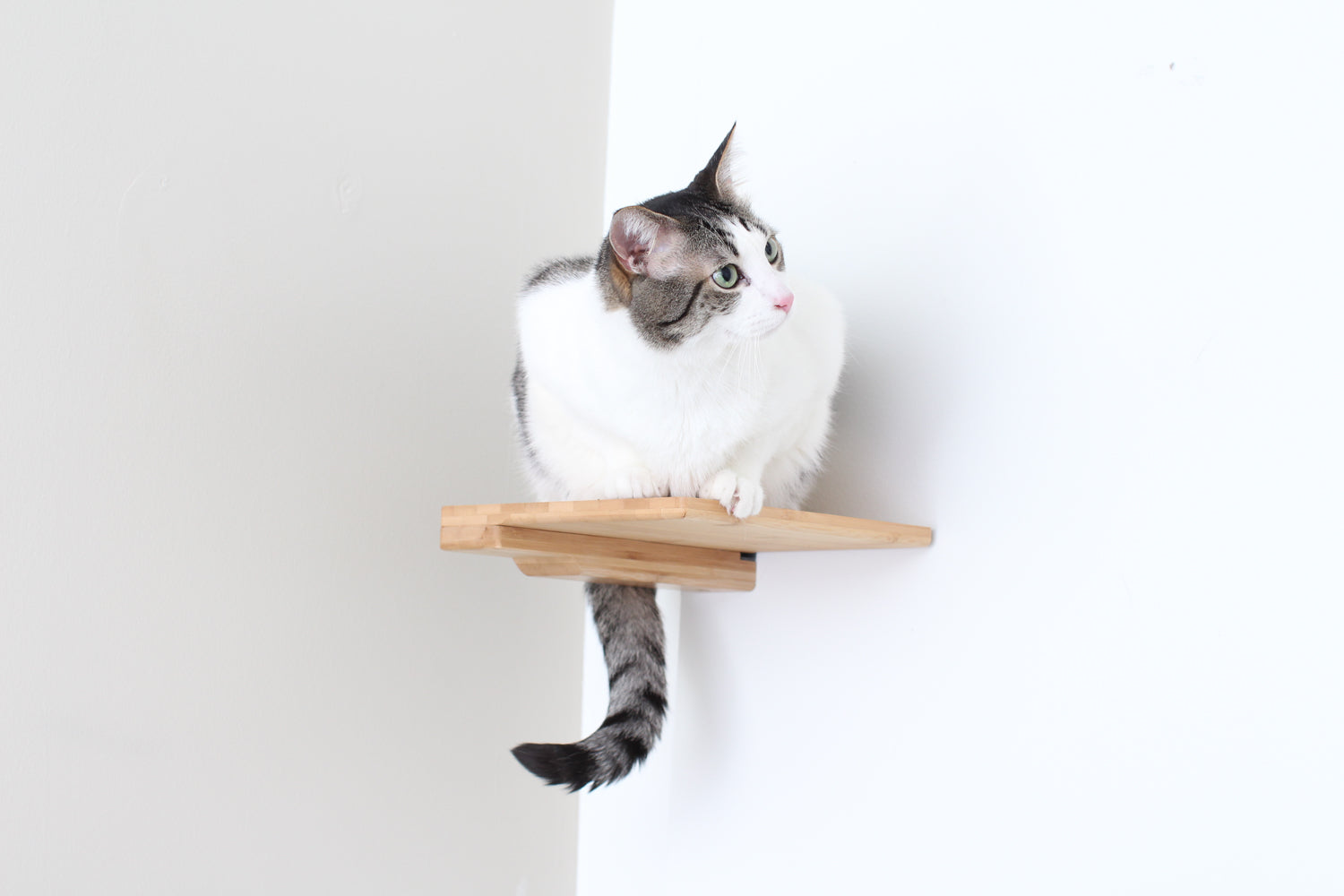 Cat Climbing Shelf by Catastrophic Creations