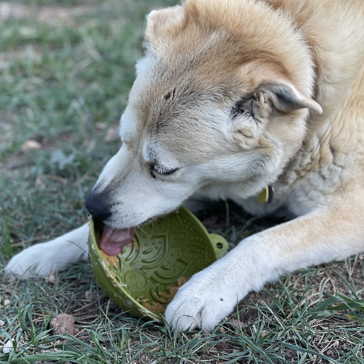 Garden of Eatin' Tipsy Bowl - Wobble Lick Mat for Dogs & Cats | USA Made by SodaPup/True Dogs, LLC
