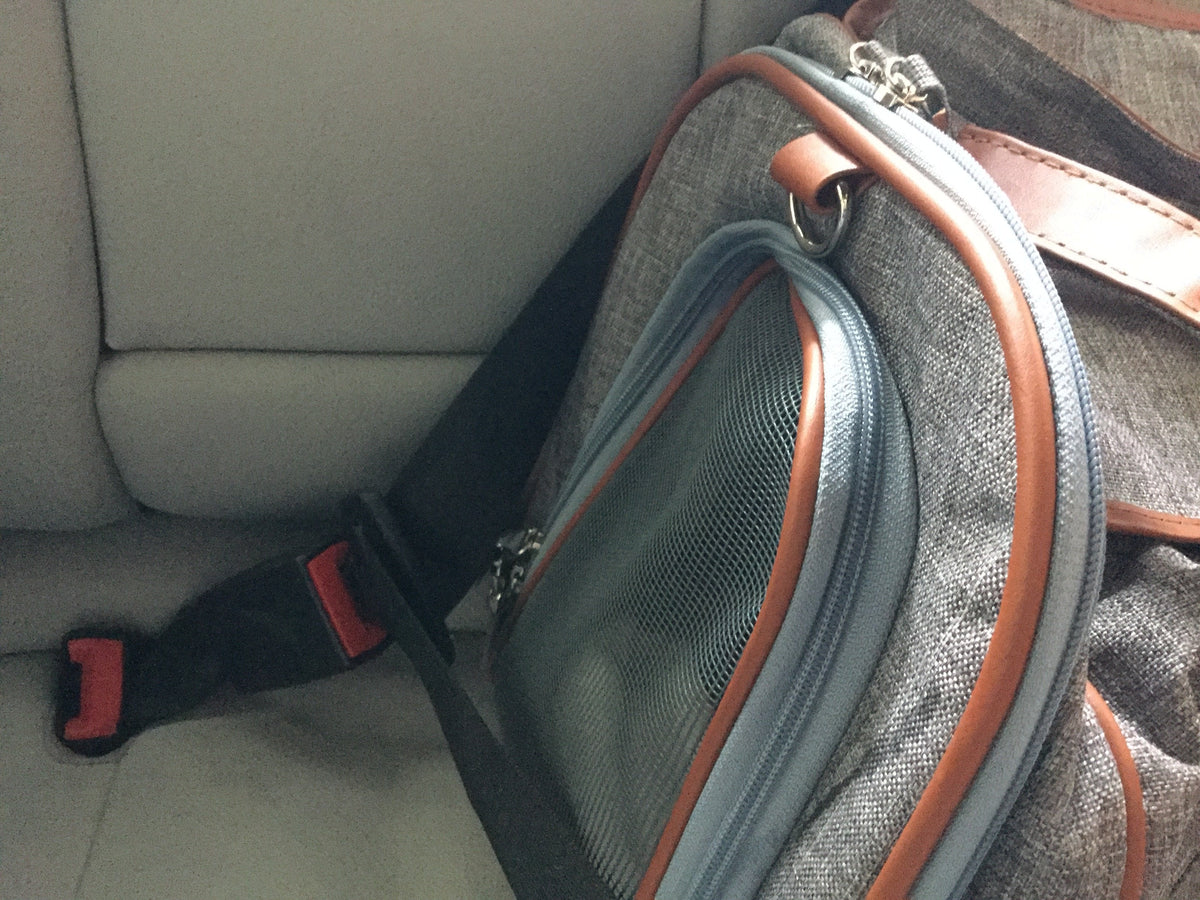 Mr. Peanut's Gold Series Big Apple XL Expandable Pet Carrier V3.0 by Mr. Peanut's Pet Carriers