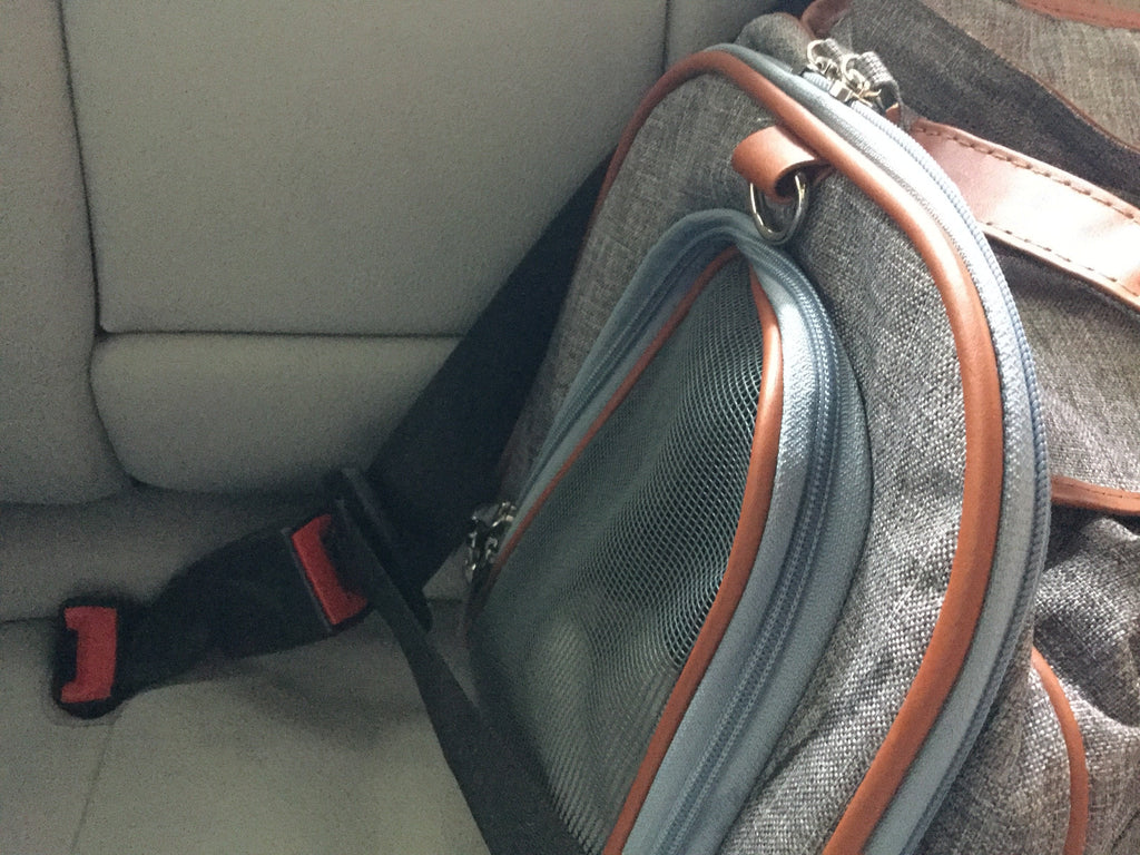 Mr. Peanut's Gold Series Airline Compliant Pet Carrier by Mr. Peanut's Pet Carriers