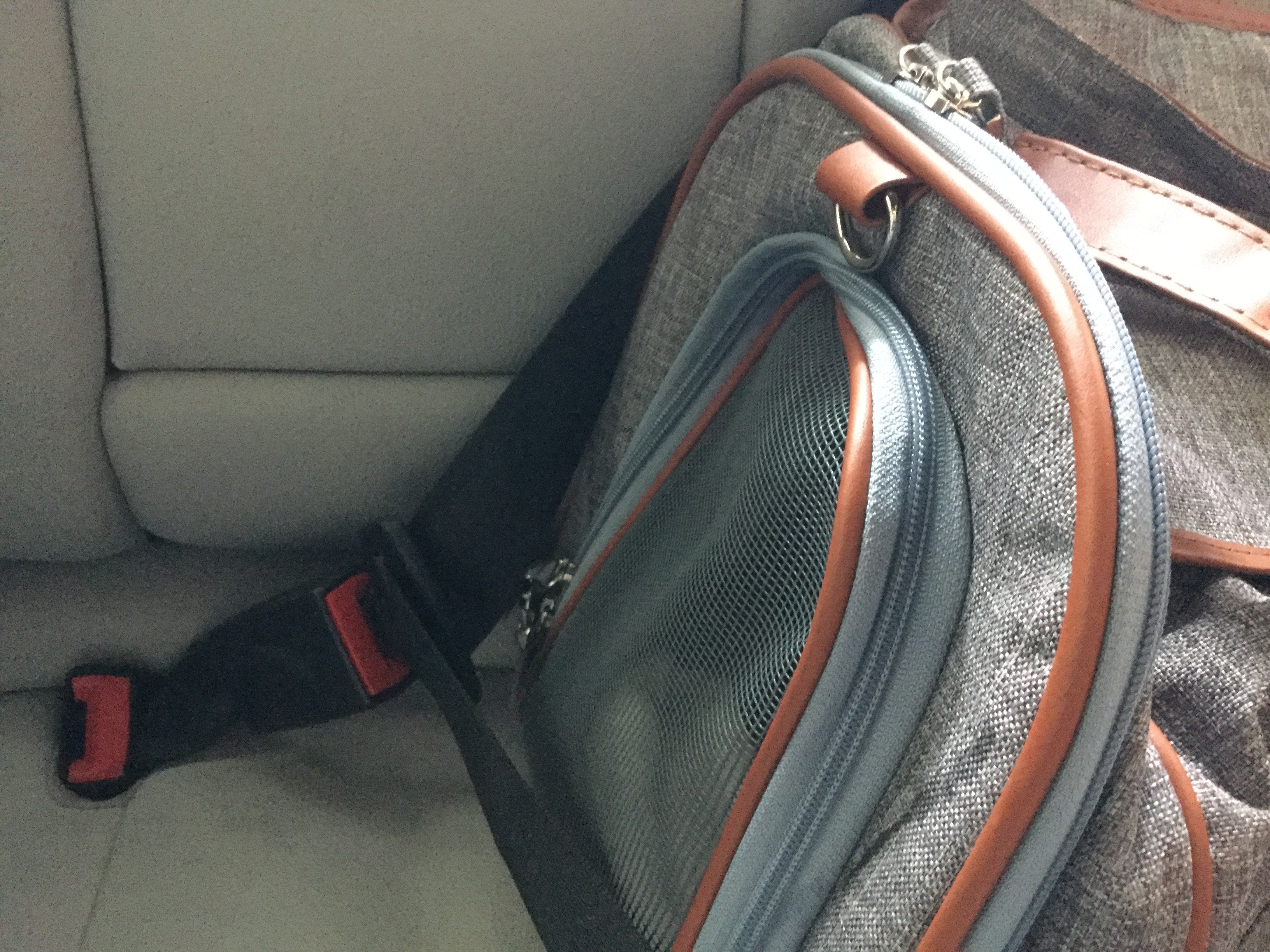 Mr. Peanut's Gold Series Airline Compliant Pet Carrier by Mr. Peanut's Pet Carriers
