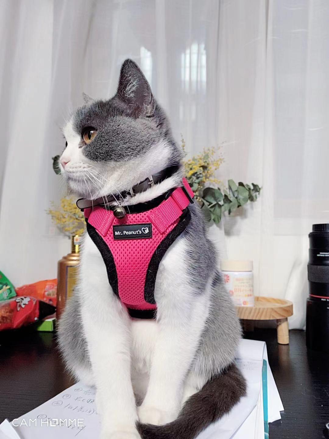 Mr. Peanut's PurrTrek Reflective Cat Harness with Matching Leash by Mr. Peanut's Pet Carriers